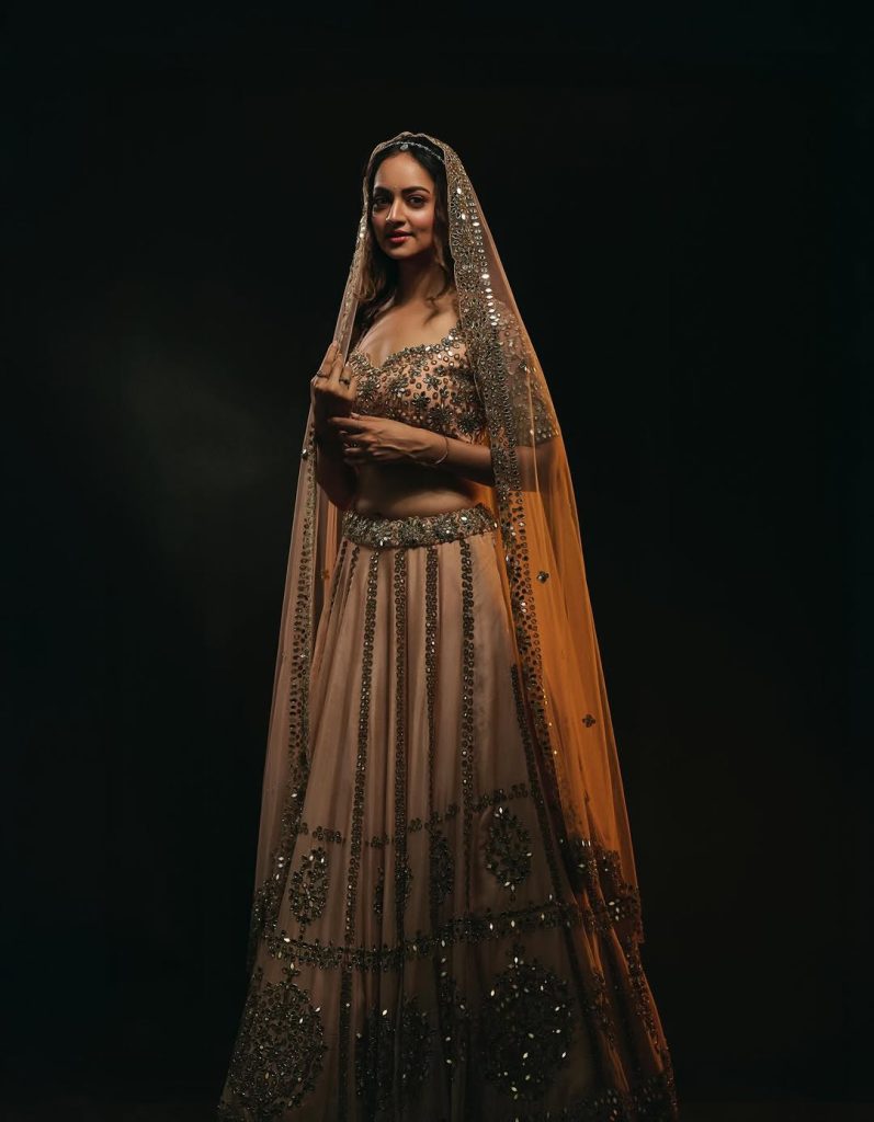 Shanvi Srivastava posing majestically in elaborate royal costume