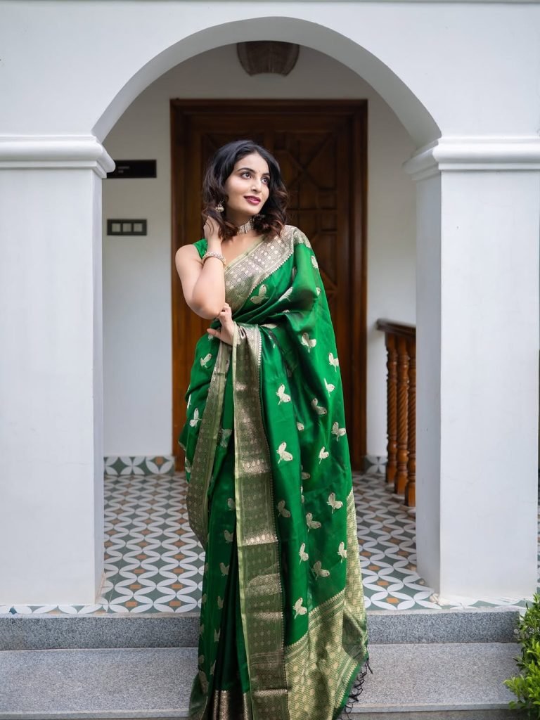 Traditional saree draping showcases Ananya Nagella's cultural fashion knowledge