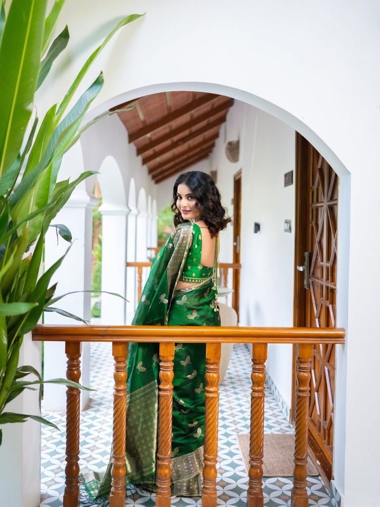 Beautiful fabric patterns highlighted in Ananya Nagella's elegant traditional styling