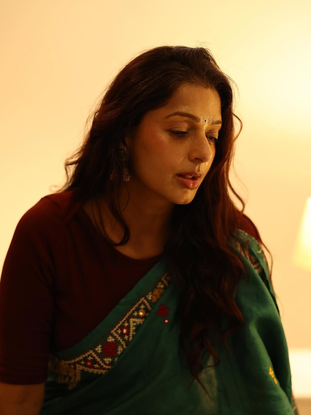 Bhumika Chawla teal handloom saree warm glow Photoshoot (13)