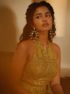 Anupama Parameswaran Shines in Golden Designer Lehenga Photos (12)