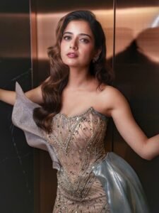 Ashika Ranganath Glamorous in Silver Mirror Gown (8)