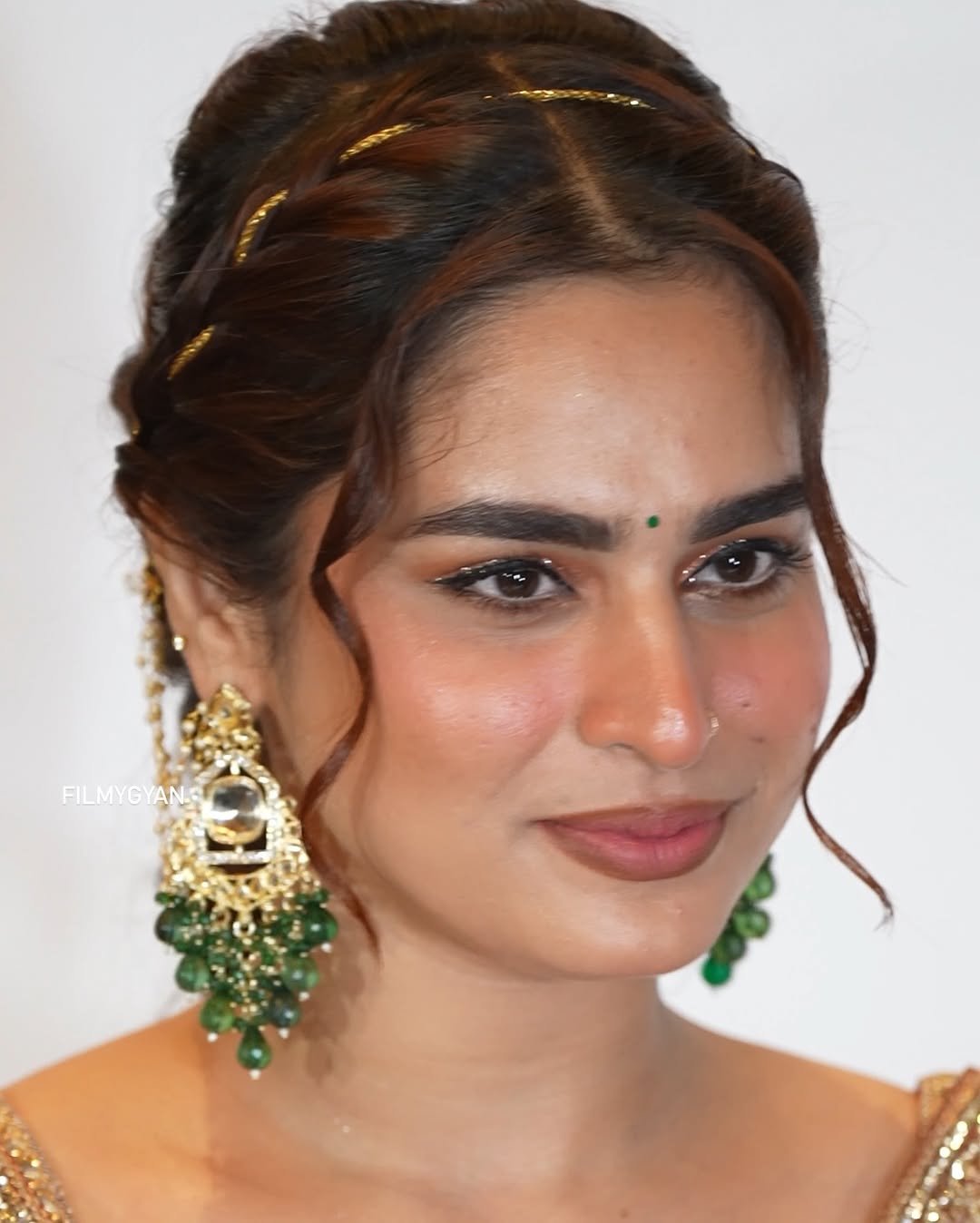 Ayesha Khan Shines in Copper Embroidered Saree (1)