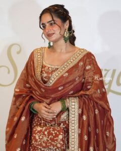 Ayesha Khan Shines in Copper Embroidered Saree (11)