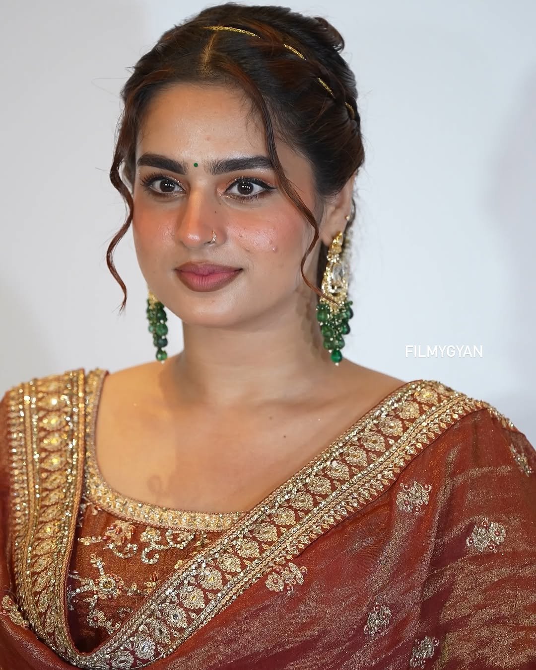 Ayesha Khan Shines in Copper Embroidered Saree (12)