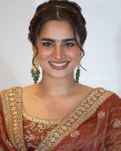 Ayesha Khan Shines in Copper Embroidered Saree (2)