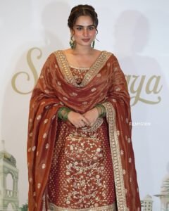 Ayesha Khan Shines in Copper Embroidered Saree (3)