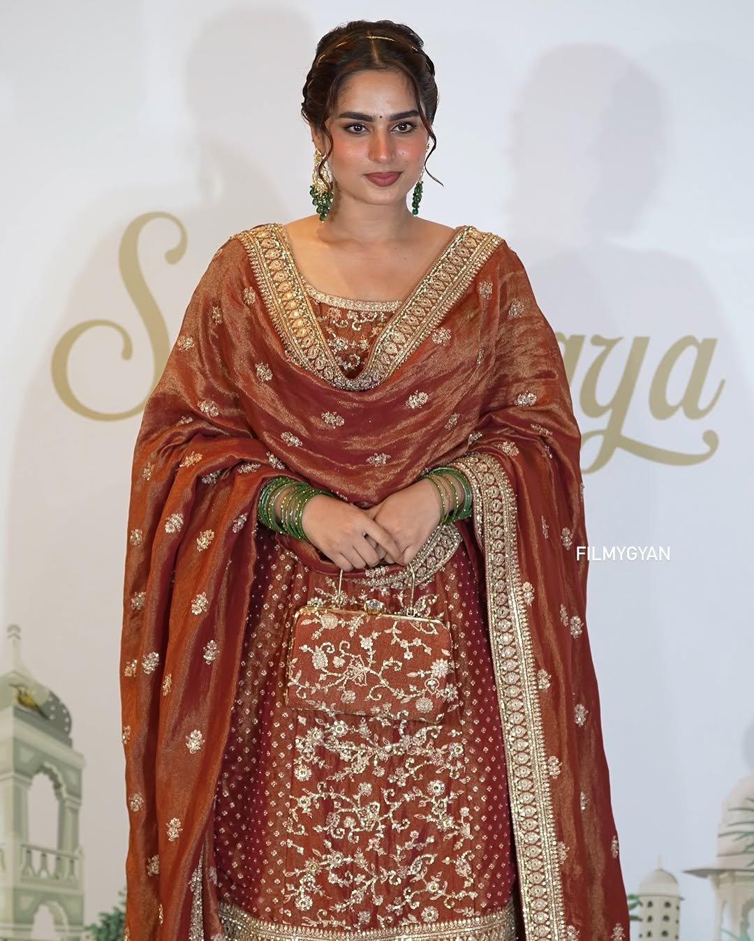 Ayesha Khan Shines in Copper Embroidered Saree (3)