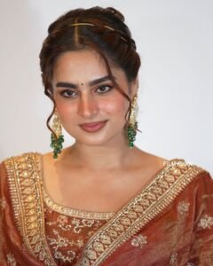 Ayesha Khan Shines in Copper Embroidered Saree (4)