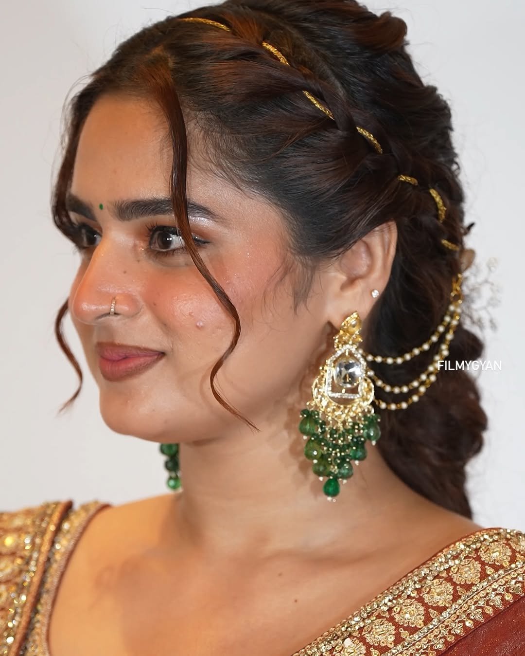 Ayesha Khan Shines in Copper Embroidered Saree (5)