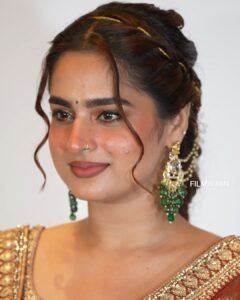 Ayesha Khan Shines in Copper Embroidered Saree (6)