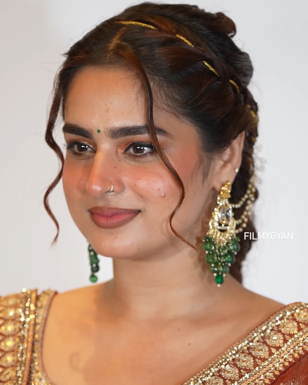 Ayesha Khan Shines in Copper Embroidered Saree (6)