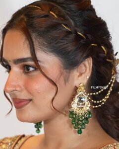 Ayesha Khan Shines in Copper Embroidered Saree (7)