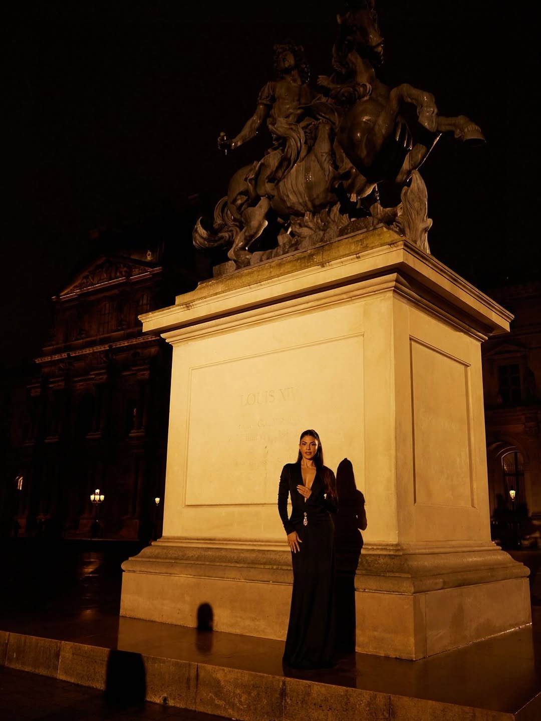 Jacqueline Fernandez Dazzles in Black Deep Neck Gown Photos (6)
