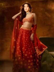 Medha Shankar Gorgeous in Orange Embroidered Lehenga (6)