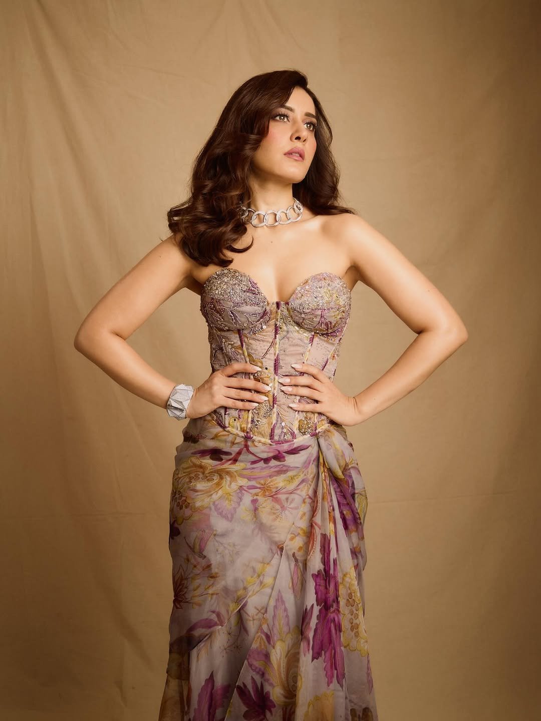 Raashi Khanna Glamorous in Beaded Corset Gown (6)