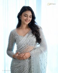 Ritika Nayak Looks Stunning in Silver Sequin Saree Photos (1)