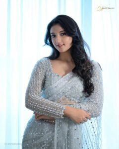 Ritika Nayak Looks Stunning in Silver Sequin Saree Photos (7)