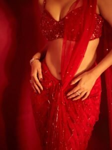 Sonal Chauhan Mesmerizes in Red Sequin Saree Photos (10)