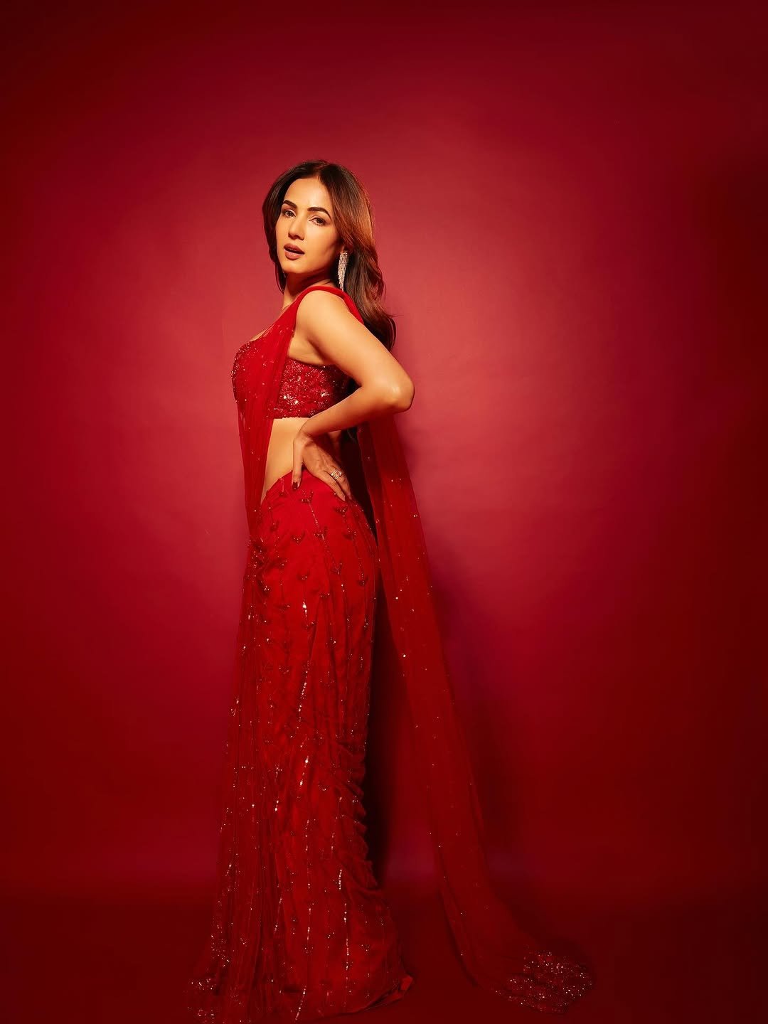 Sonal Chauhan Mesmerizes in Red Sequin Saree Photos (14)
