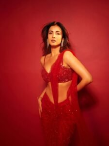 Sonal Chauhan Mesmerizes in Red Sequin Saree Photos (18)