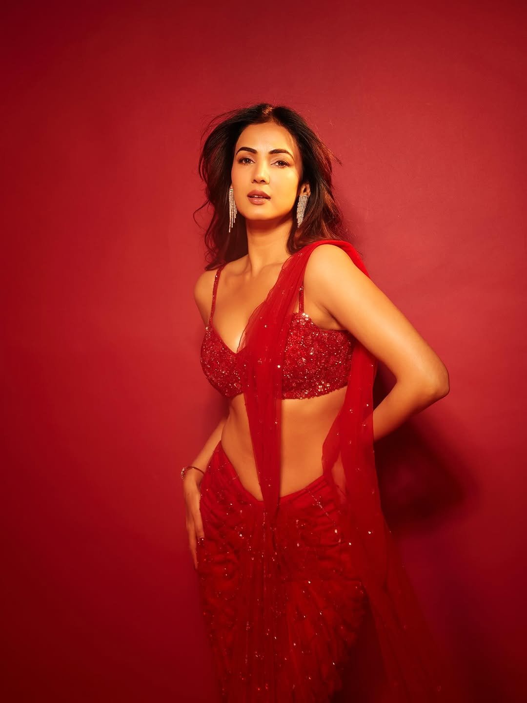 Sonal Chauhan Mesmerizes in Red Sequin Saree Photos (18)