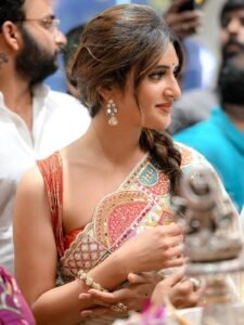 Sreeleela Radiant in Colorful Embroidered Saree (4)