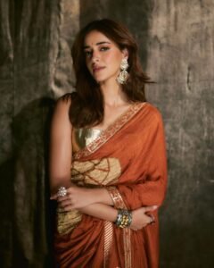 Ananya Panday in powder-blue georgette saree with silver zari during 2025 shoot