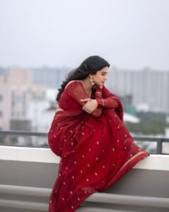 Delna Davis in Maroon Saree – Traditional Rooftop Look 2025 (11)