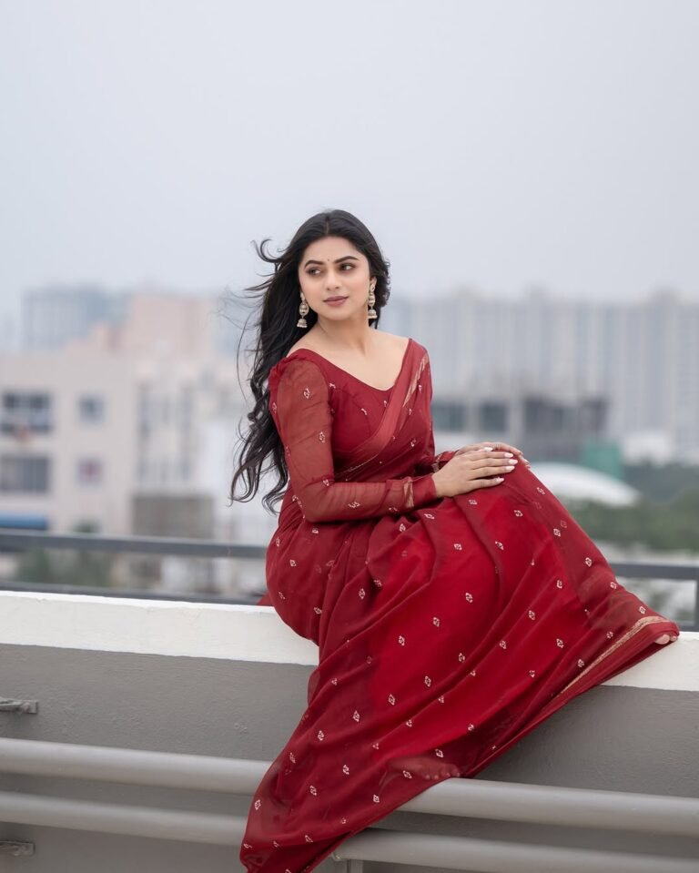 Delna Davis in Maroon Saree – Traditional Rooftop Look 2025 (3)