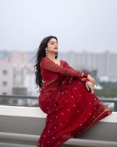 Delna Davis in Maroon Saree – Traditional Rooftop Look 2025 (4)