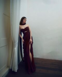 Diana Penty pure elegance maroon gown HD photos – ActorFacts exclusive