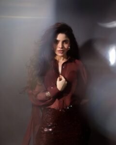 Divya Bharathi Glamorous Maroon Outfit Photoshoot (5)