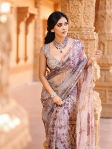 Nabha Natesh HD Photos in Purple Saree – Elegant Temple Pics Collection (1)