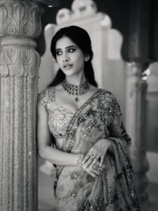 Nabha Natesh HD Photos in Purple Saree – Elegant Temple Pics Collection (11)