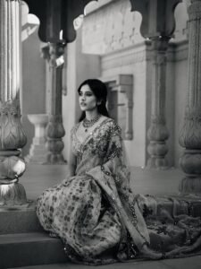 Nabha Natesh HD Photos in Purple Saree – Elegant Temple Pics Collection (3)