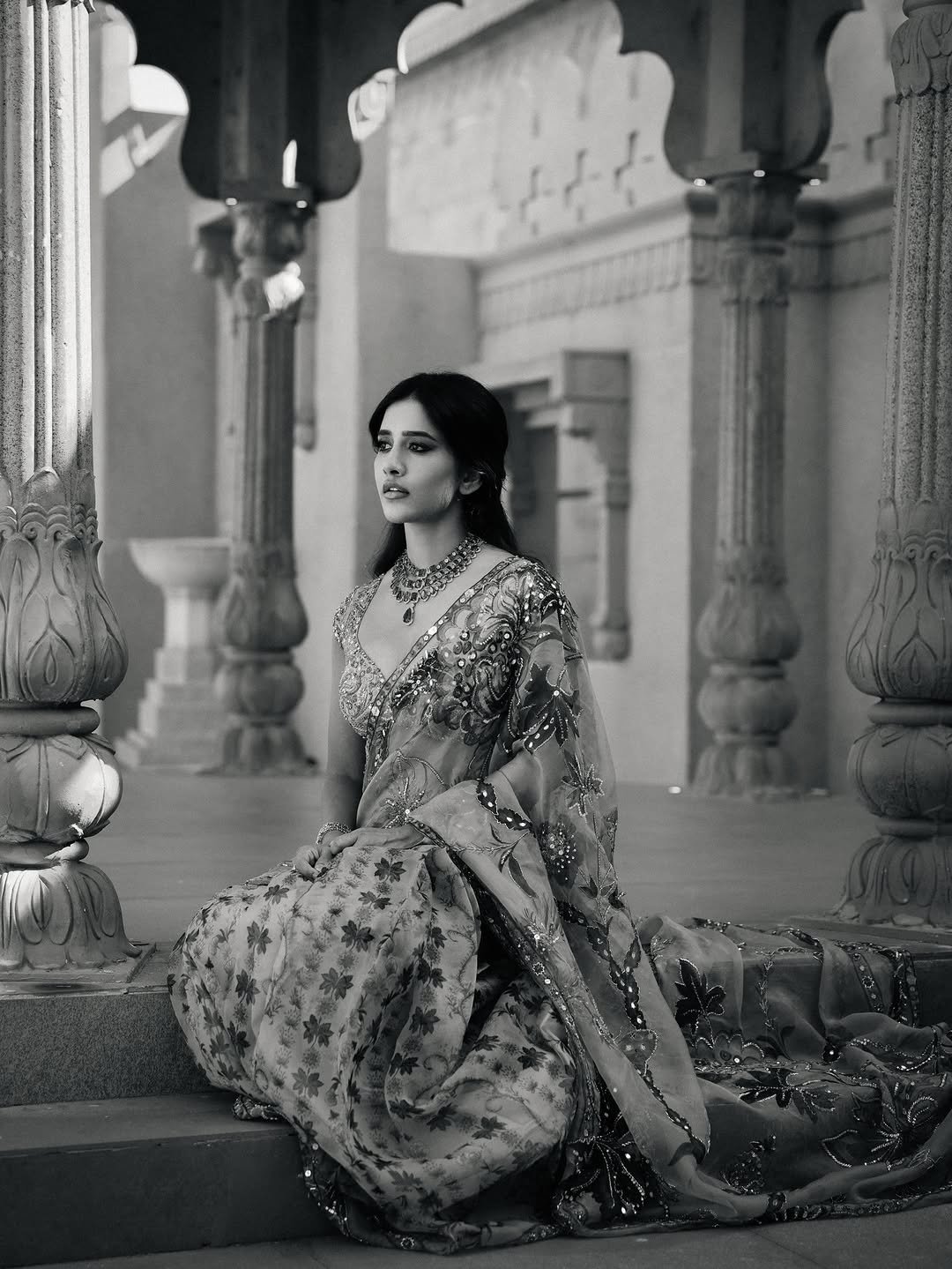 Nabha Natesh HD Photos in Purple Saree – Elegant Temple Pics Collection (3)