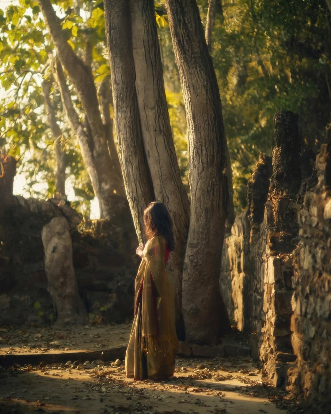 Nuveksha Soft Focus Saree Look – Traditional Ethnic Beauty (9)