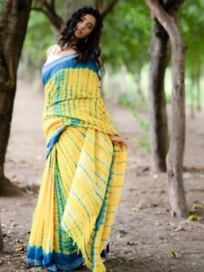 Trupti Ravindra Saree Photoshoot – Hot Yellow Blue Saree HD Images (11)