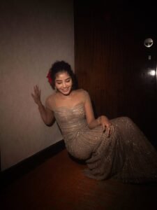 Anupama Parameswaran Glamorous Gown Photos  ActorFacts beautiful outfit images