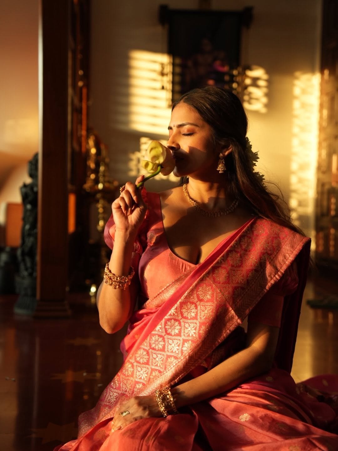 Malavika Mohanan Stuns in Red Silk Saree – ActorFacts (13)