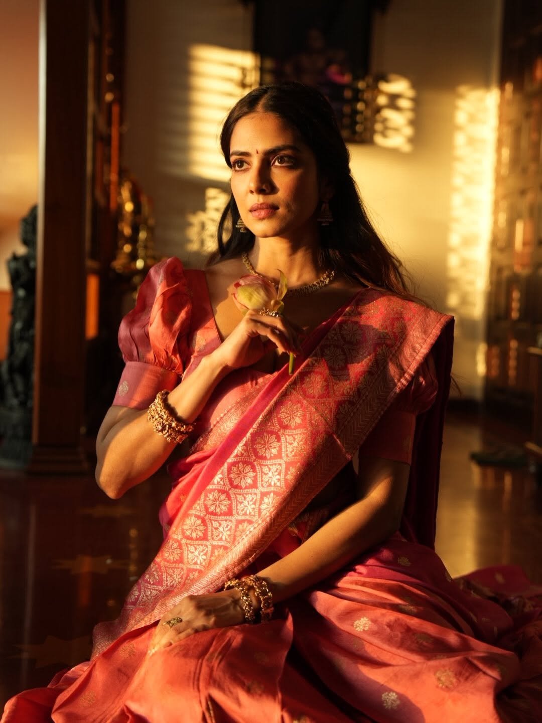 Malavika Mohanan Stuns in Red Silk Saree – ActorFacts (7)