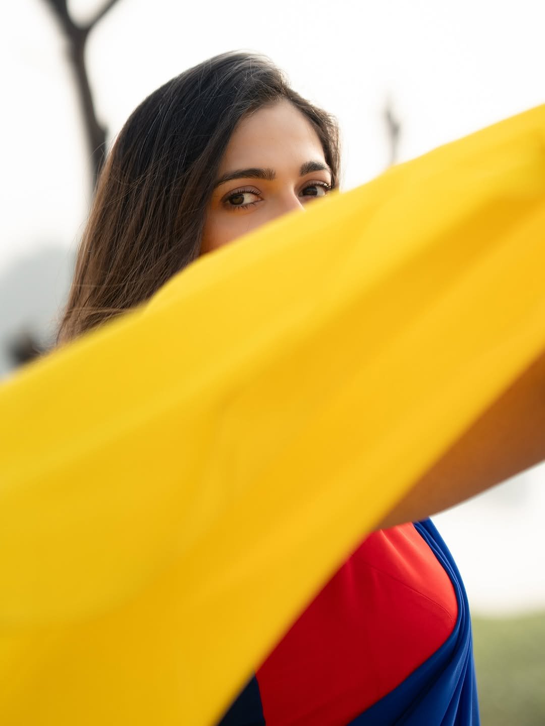Simran Choudhary Stuns in Red and Blue Saree – Latest HD Photos (4)