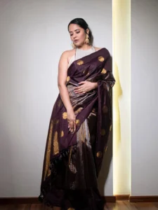 Anasuya Bharadwaj Stuns in Elegant Maroon Silk Saree – Latest HD Photos (19)
