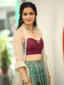 Ashika Ranganath Stuns in Elegant Traditional Outfit – Latest HD Photos (7)