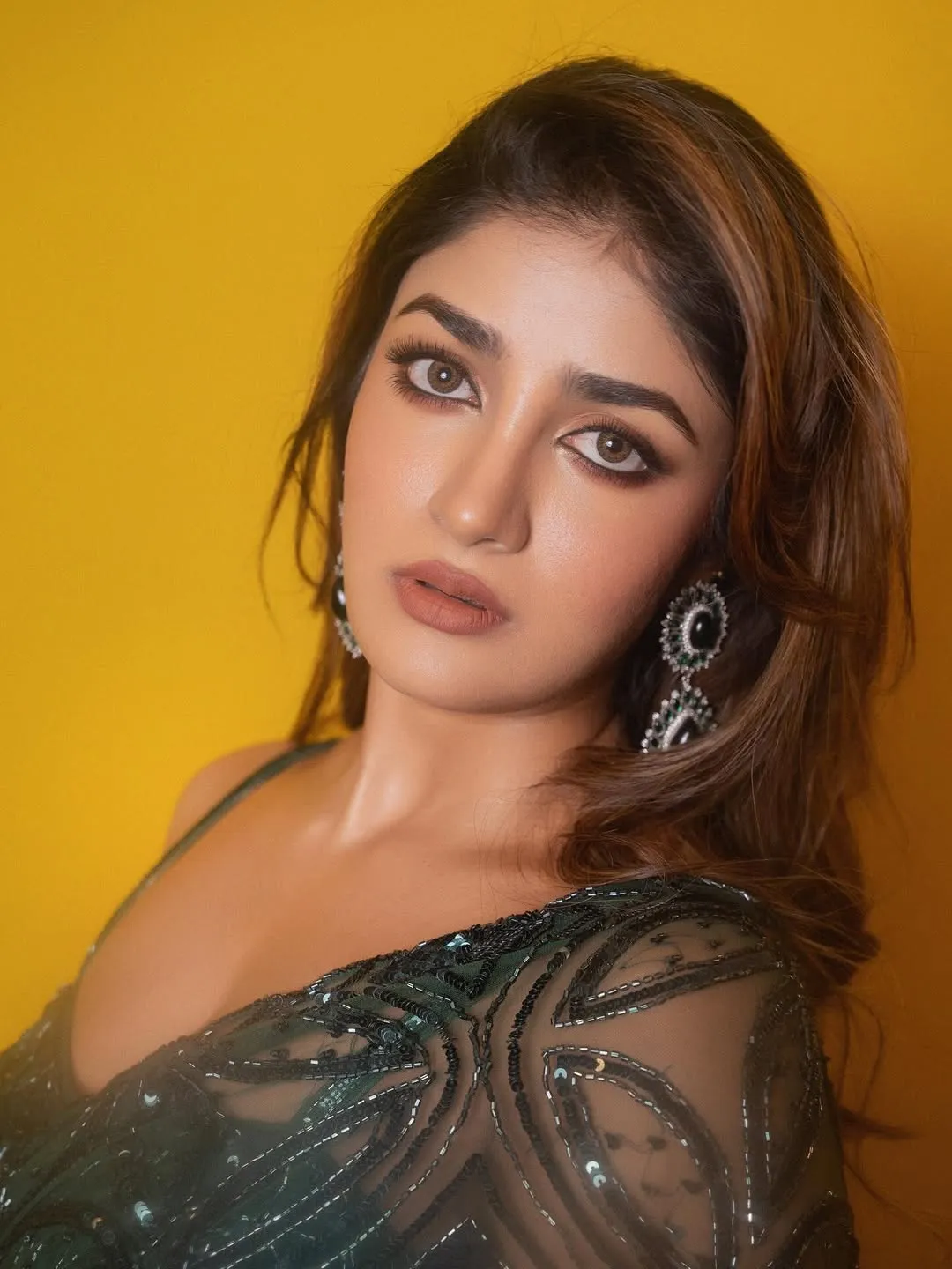 Dimple Hayathi Dazzles in Elegant Green Designer Saree at Latest Photoshoot (1)