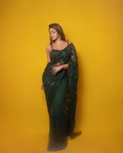 Dimple Hayathi Dazzles in Elegant Green Designer Saree at Latest Photoshoot (10)