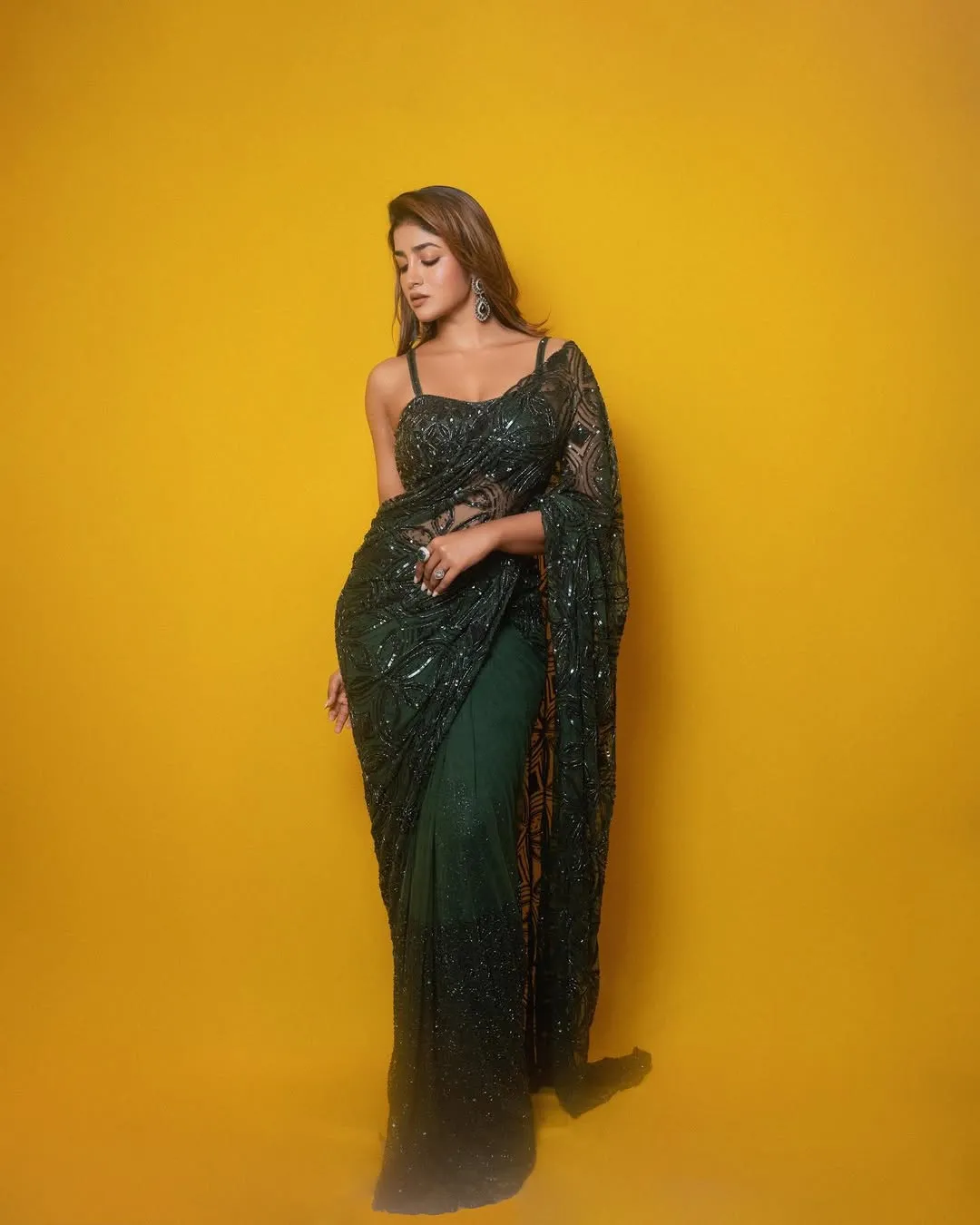 Dimple Hayathi Dazzles in Elegant Green Designer Saree at Latest Photoshoot (10)