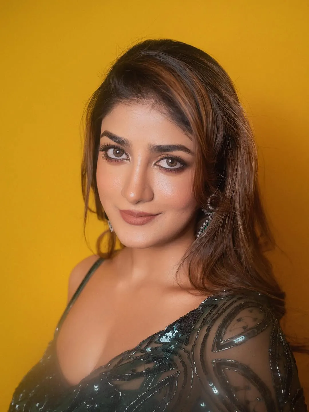 Dimple Hayathi Dazzles in Elegant Green Designer Saree at Latest Photoshoot (11)