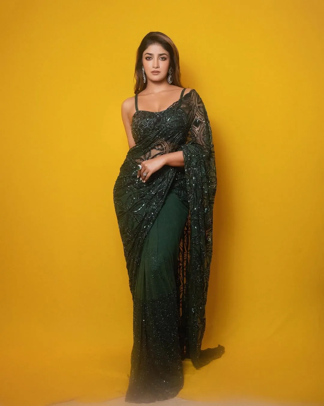 Dimple Hayathi Dazzles in Elegant Green Designer Saree at Latest Photoshoot (15)